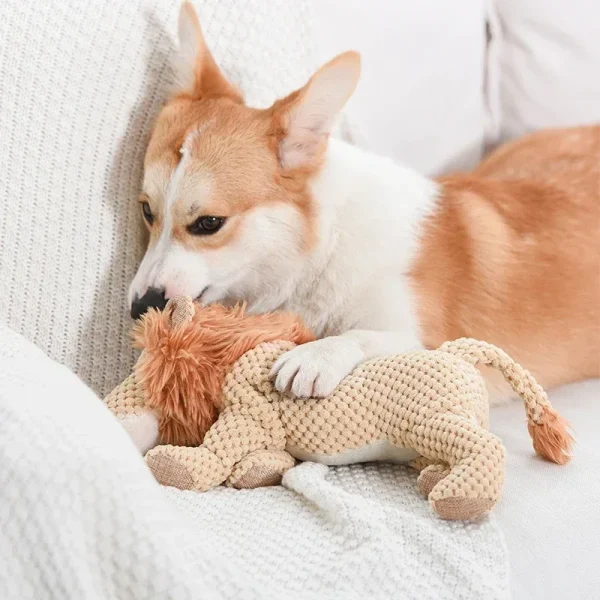 Squeaky Plush Pet Toys for Dogs